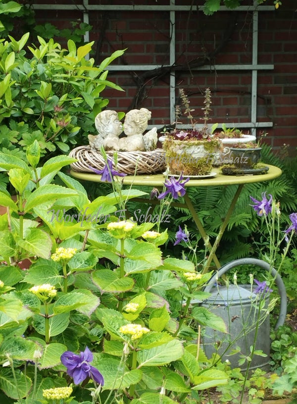 Gartenpoesie