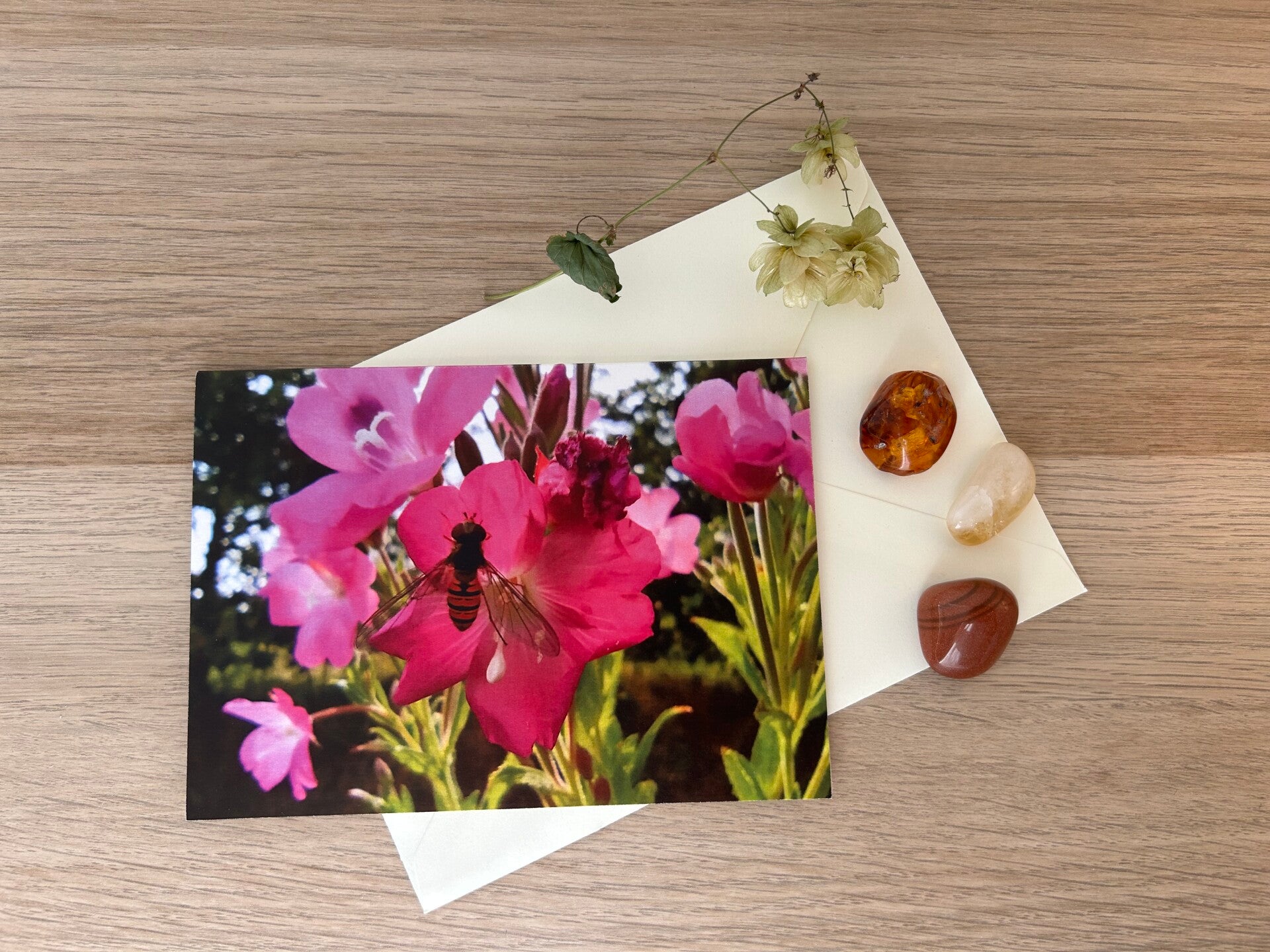 Rosa Blumenkuss Postkarte