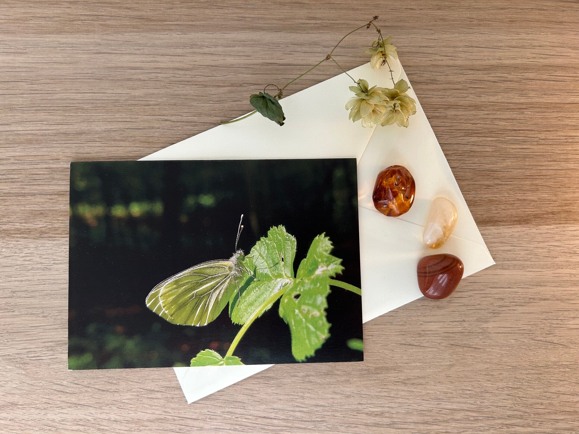 Verschmelzung Postkarte