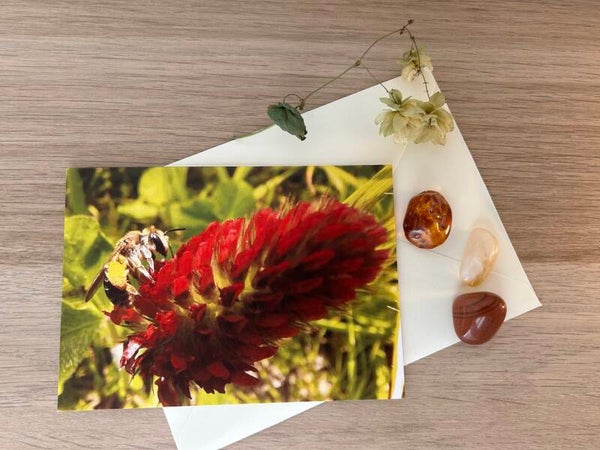 Hummel- Begegnung Postkarte