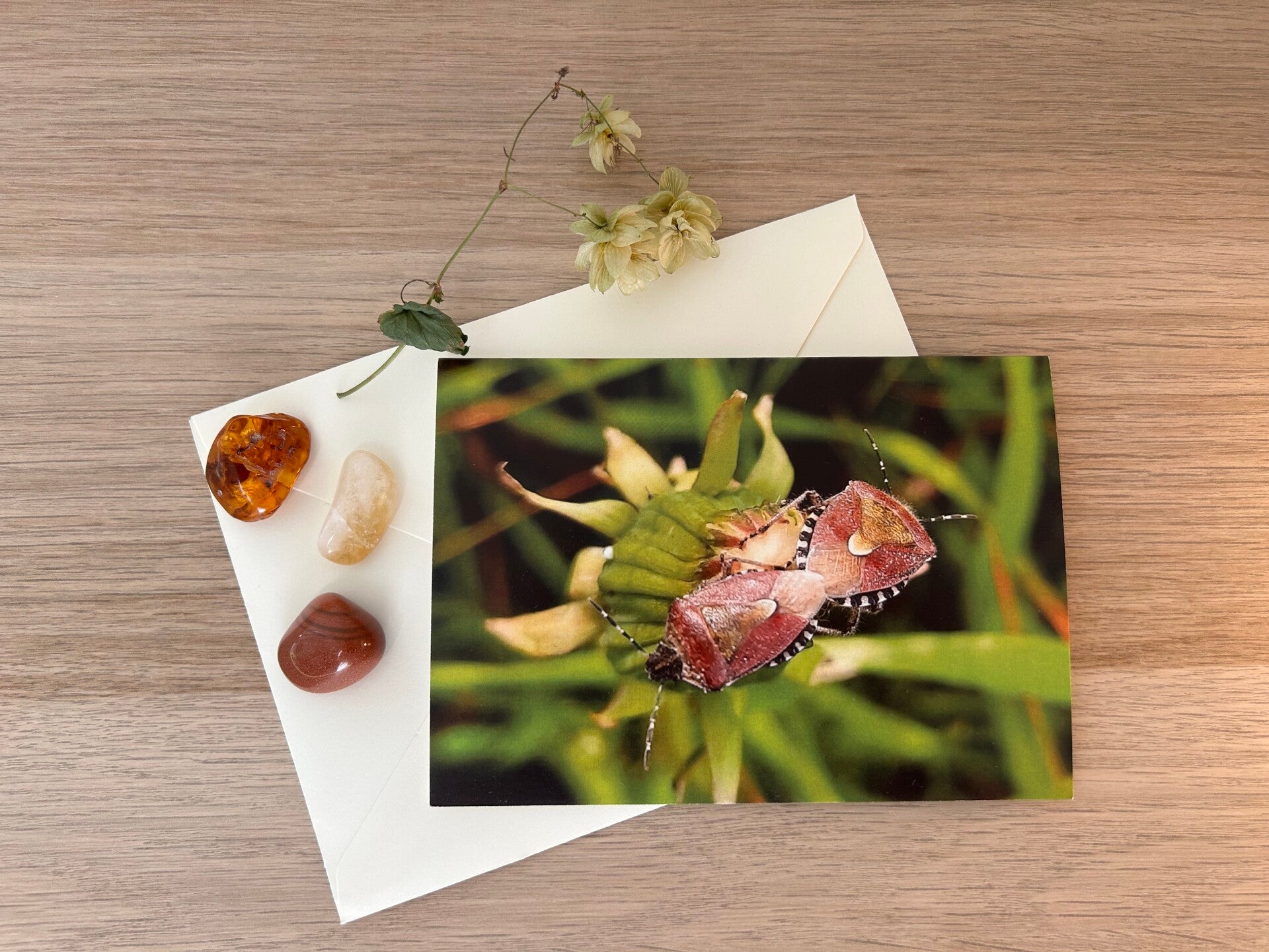 Liebes- Paar Postkarte