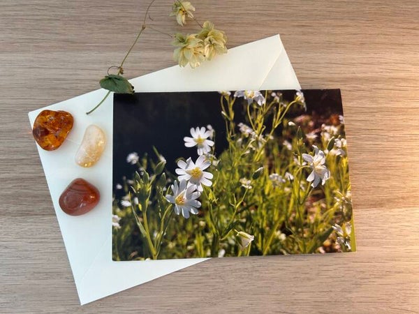 Gemeinsam Leuchtend Postkarte