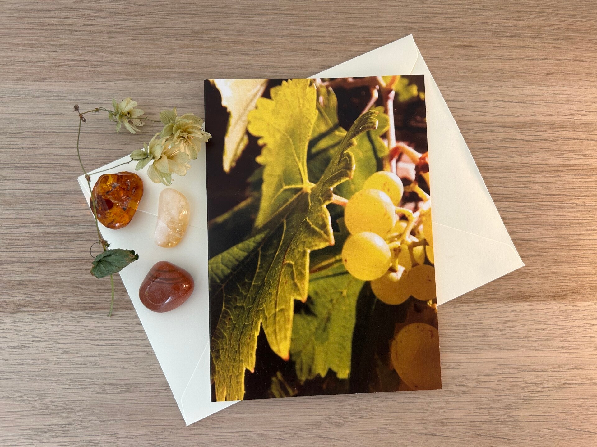 Trauben-Wunder Postkarte
