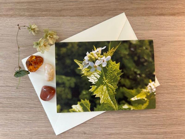 Einfach sein Postkarte