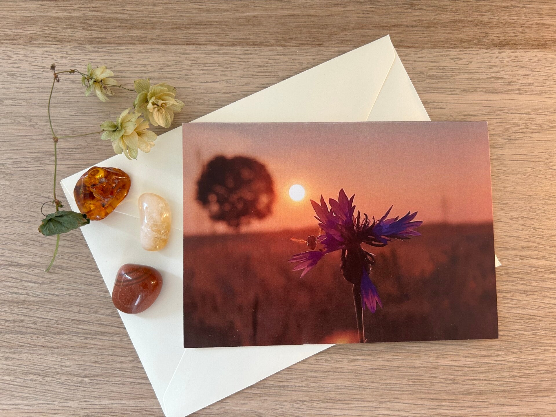 Blumen Start Postkarte