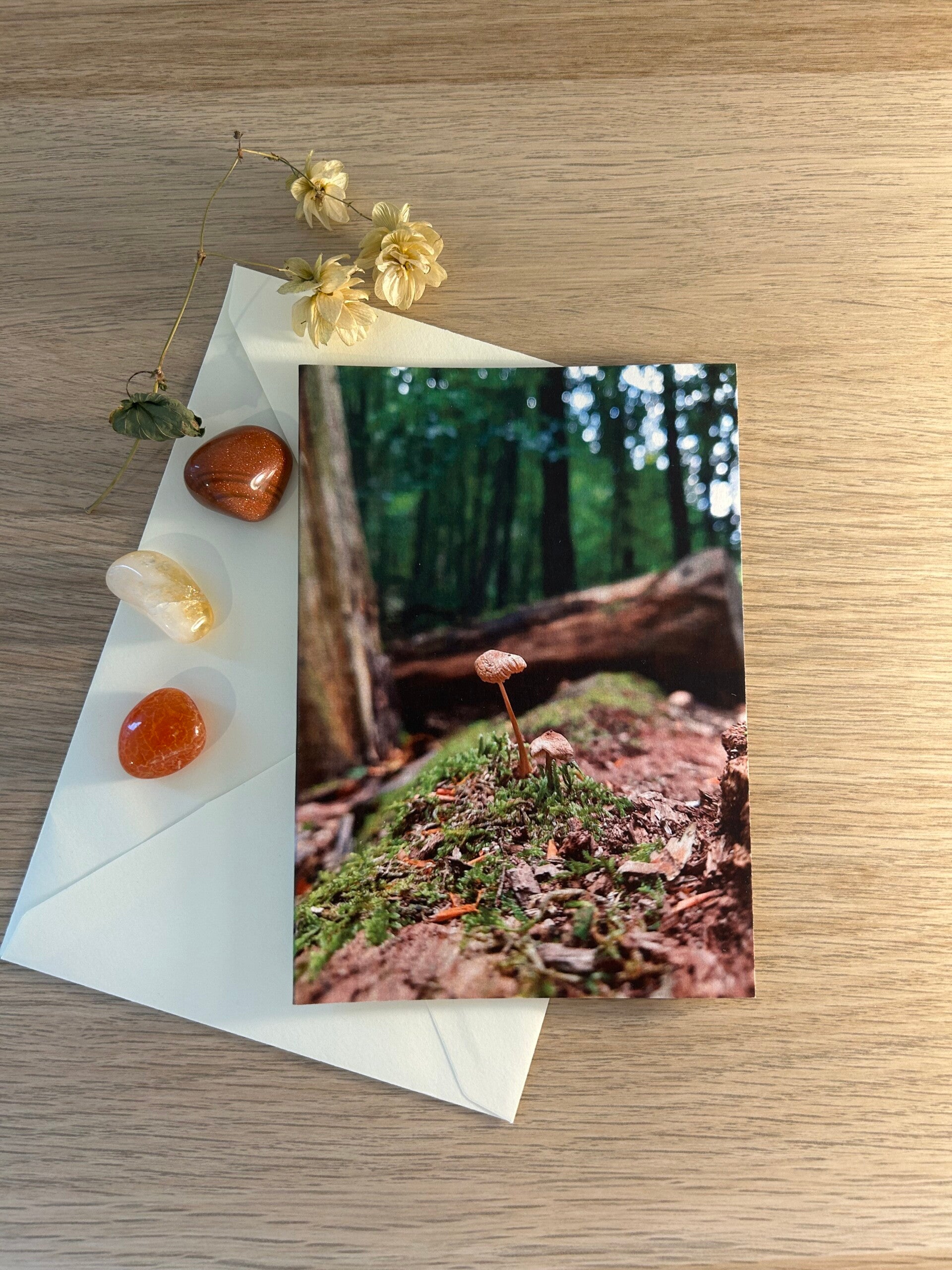 Eine andere Perspektive Postkarte