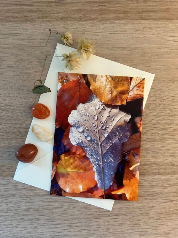 Sonnen-Tropfen Postkarte