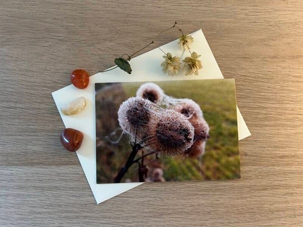 Tanzender Nebel 2 Postkarte