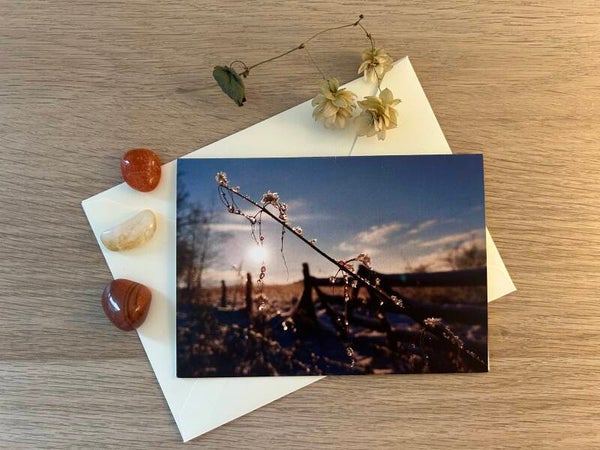 Schnee Begegnung Postkarte