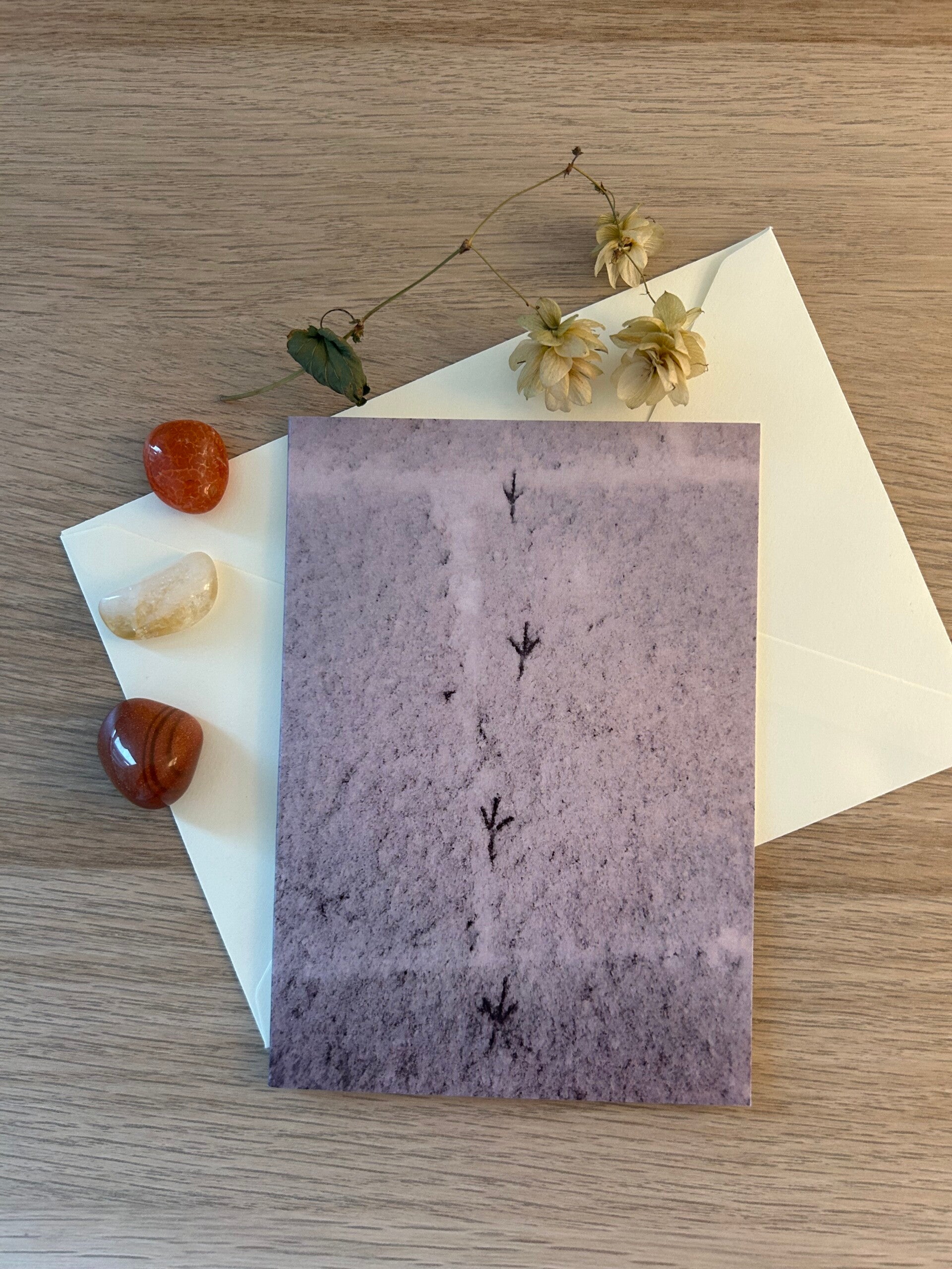 Schnee Spuren Postkarte