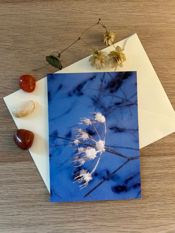 Fröstelndes Erwachen Postkarte