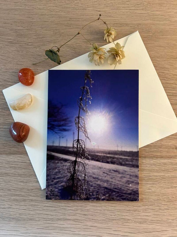 Fröstelnde Brennnessel Postkarte