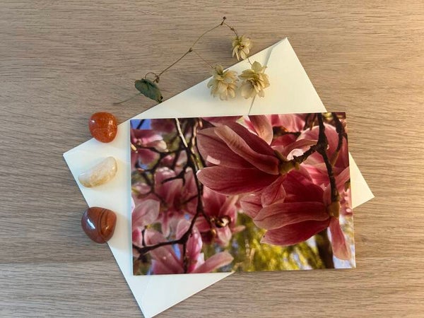 Magnolie Postkarte