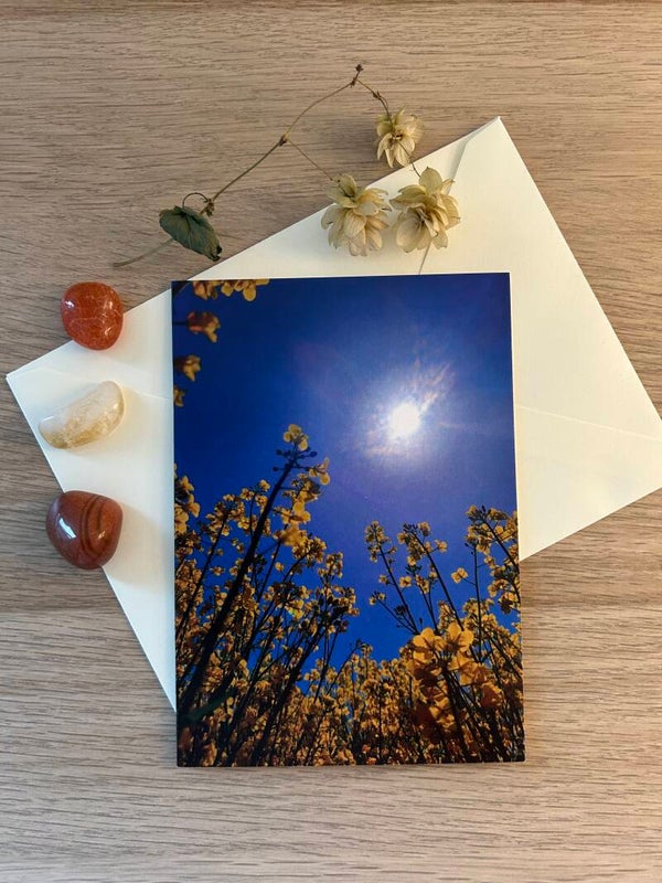Wenn das Gelb singt- Postkarte