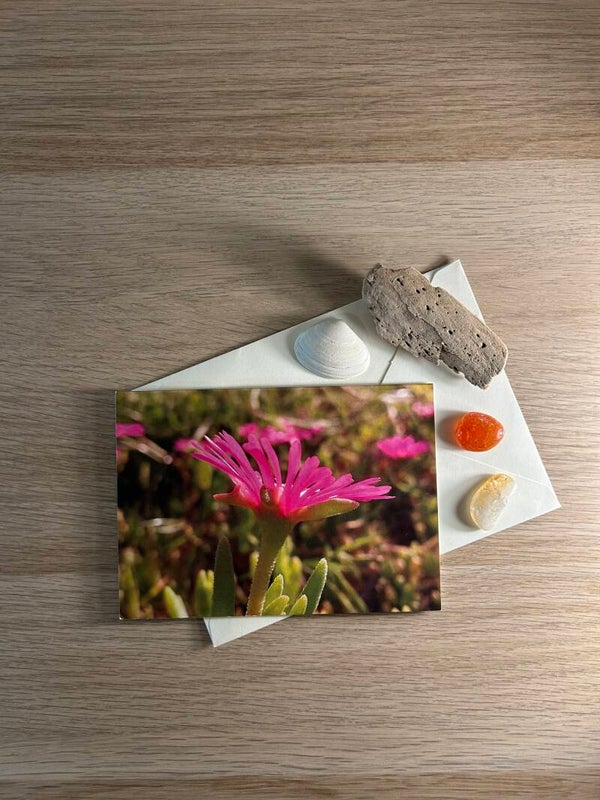 Sonnenkuss des Südens Postkarte