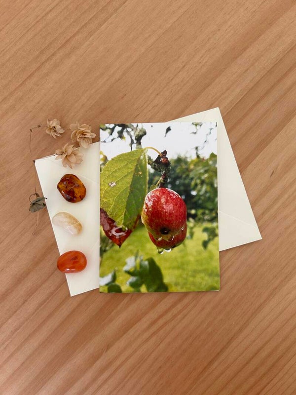 Apfelglück Postkarte