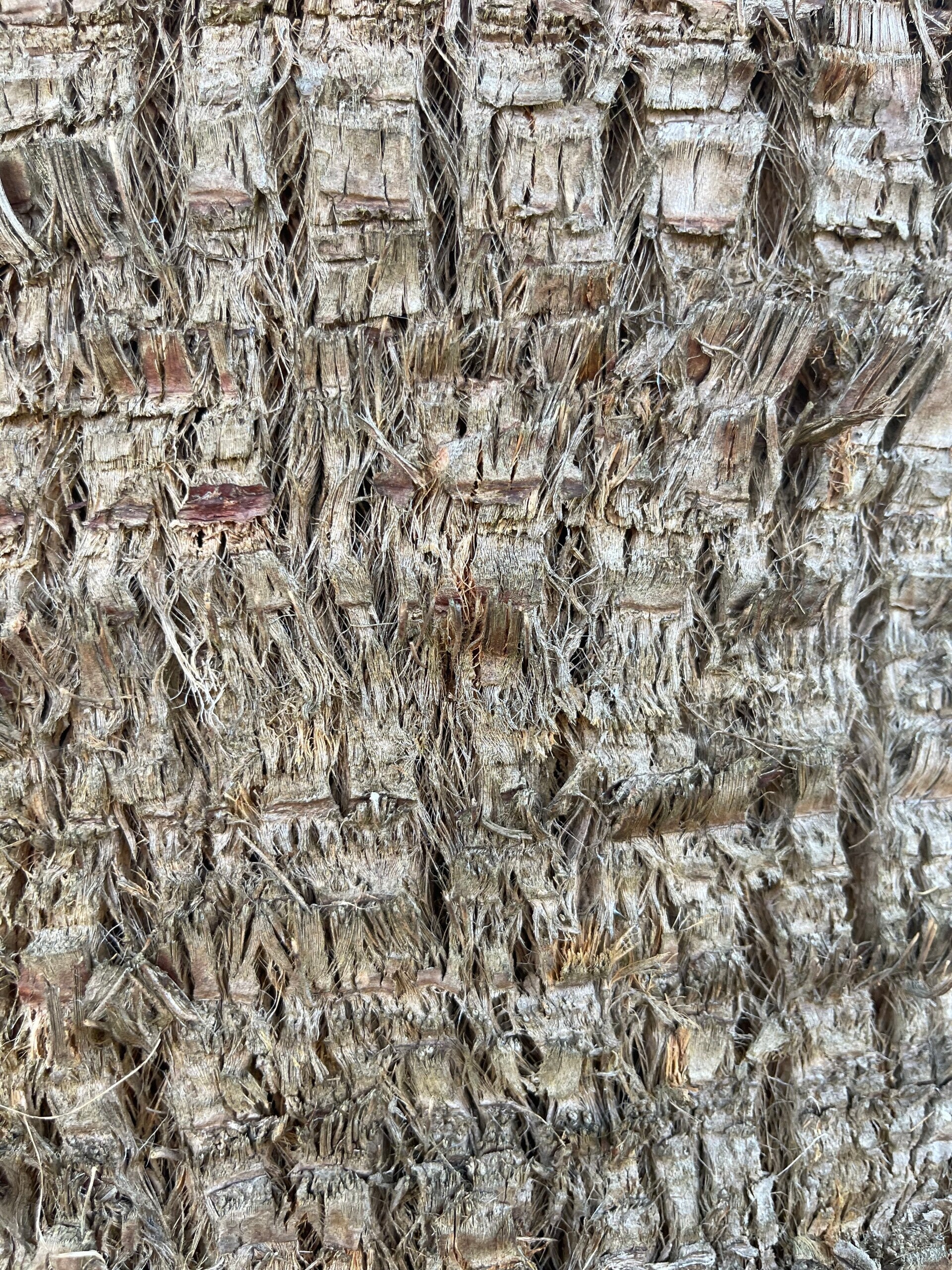 Projecten Hans van Zijst