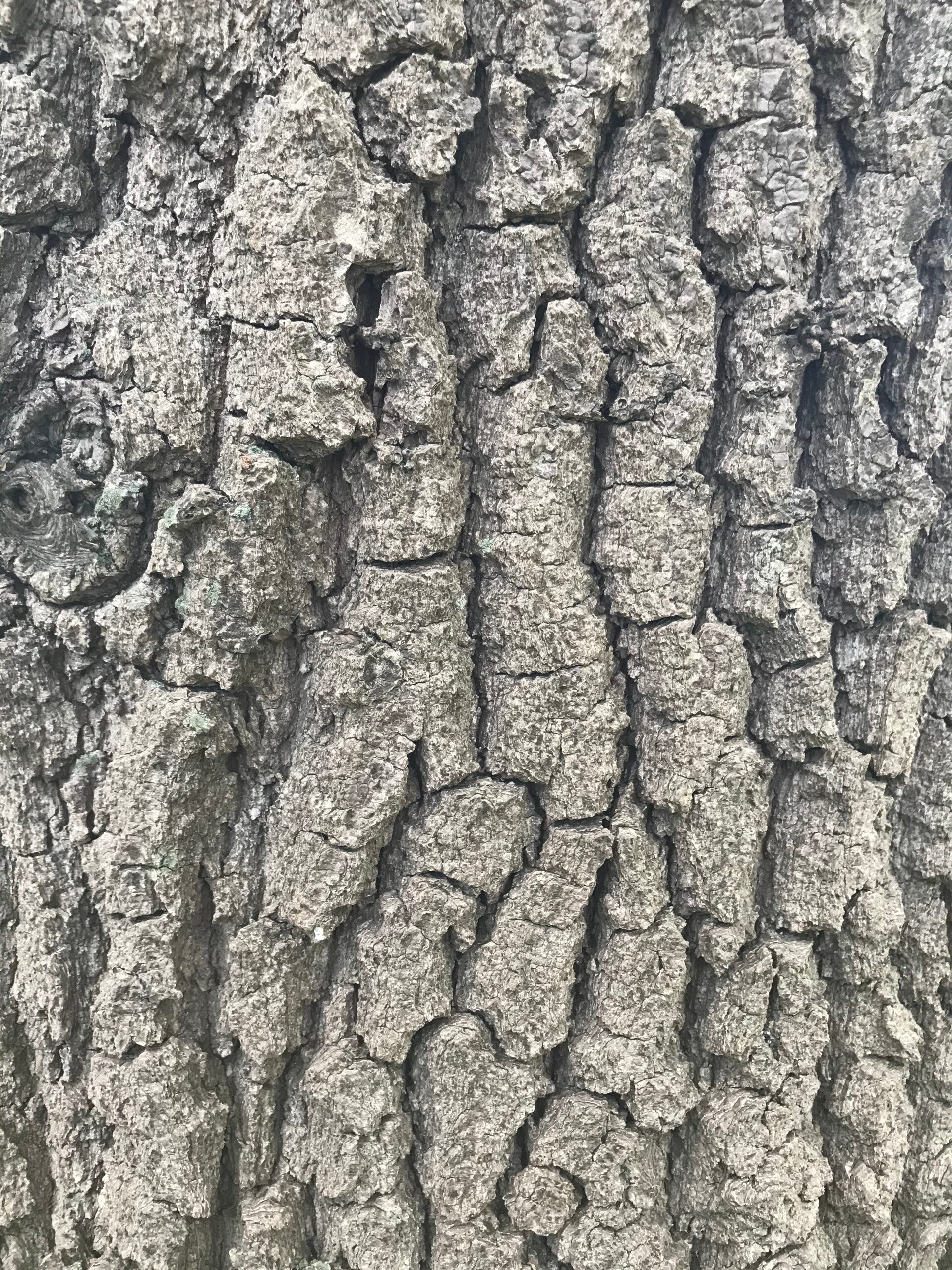 Projecten Hans van Zijst