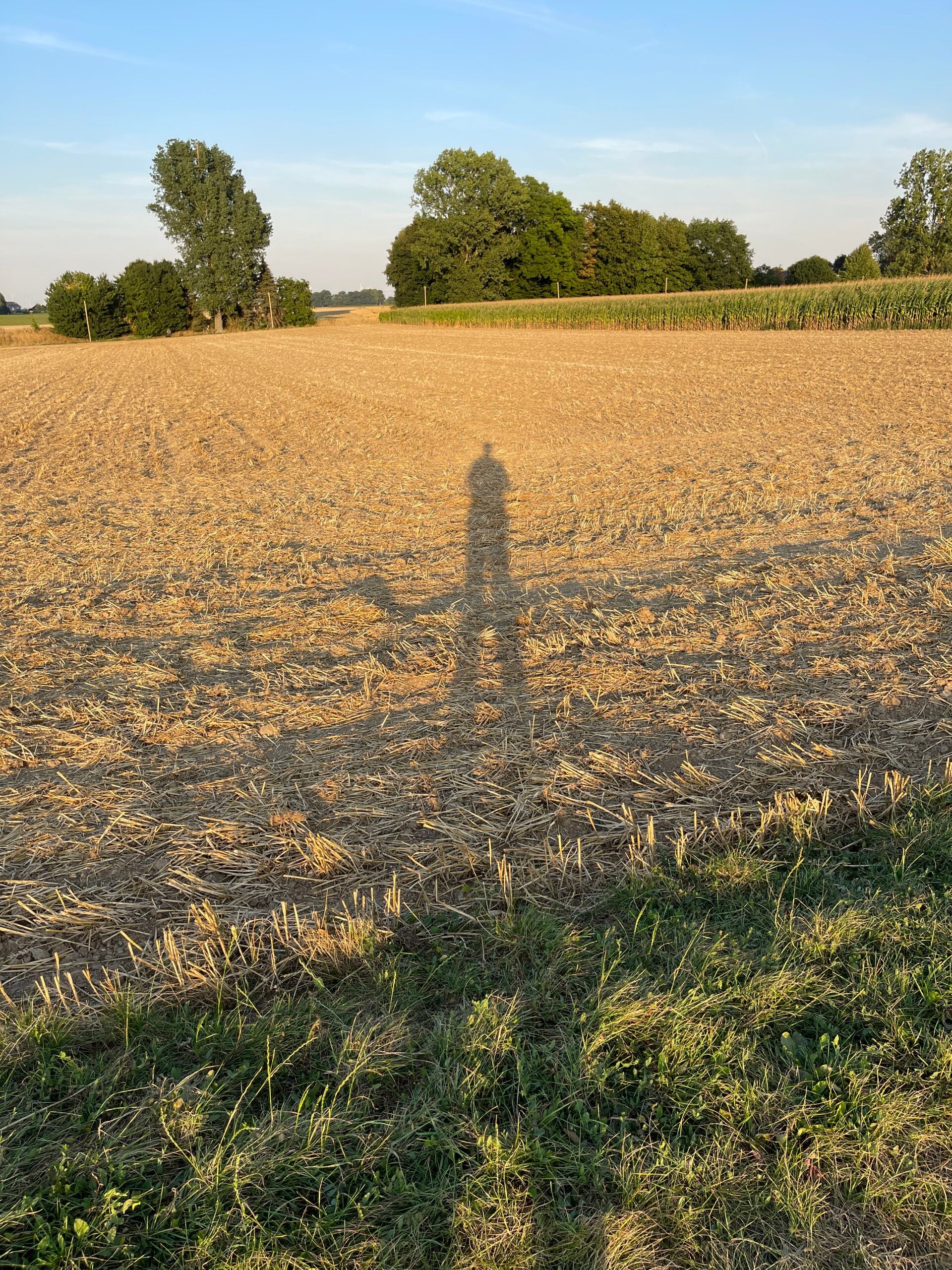 #Beterdandit #HansvanZijst