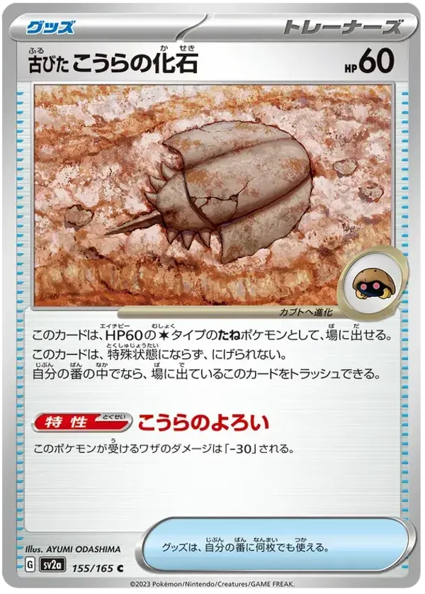 Fossile Dome ancien 155/165