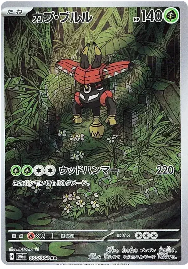 Tokotoro AR 065/064