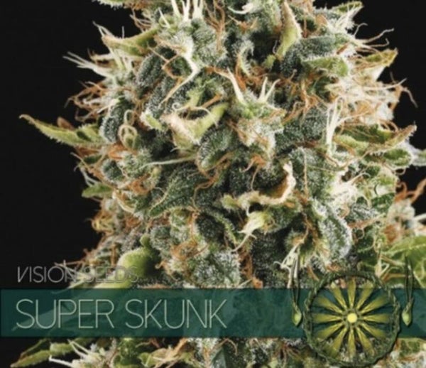 Super Skunk (Feminisiert)