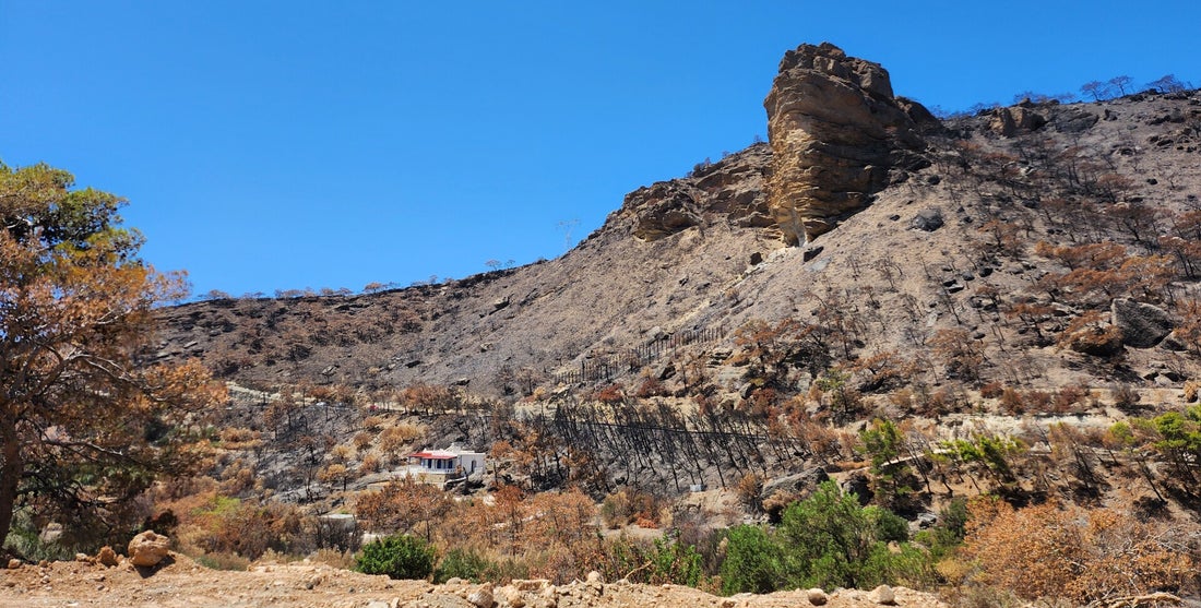 Brandspuren entlang der Straße Ierapetra -- Siteia