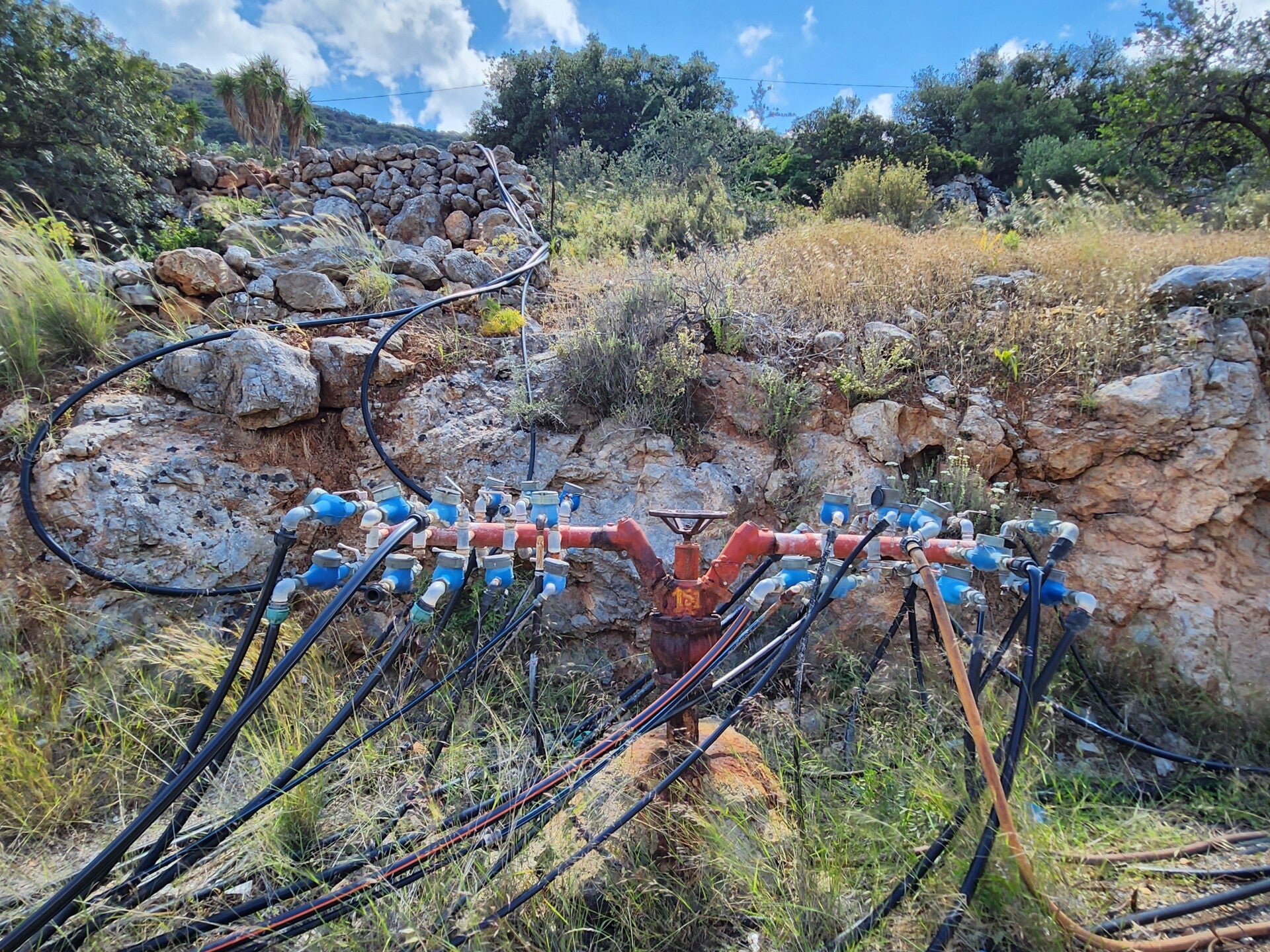 Gartenbewässerung auf Kreta über schwarze Schläuche