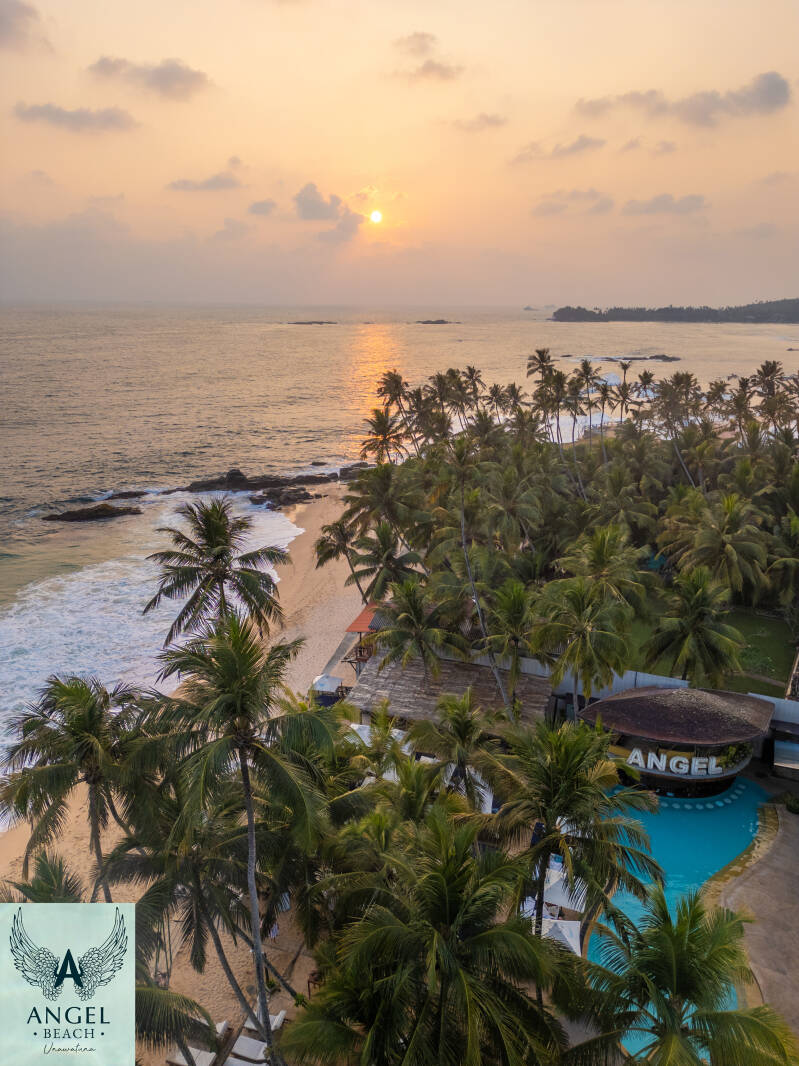 angelbeach-1-standard.jpg