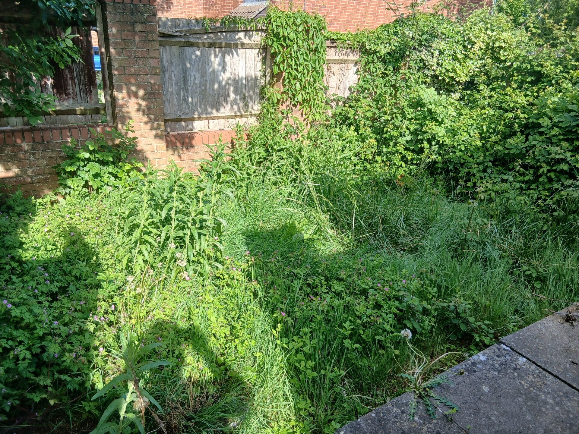 20260512_092833-standard.jpg