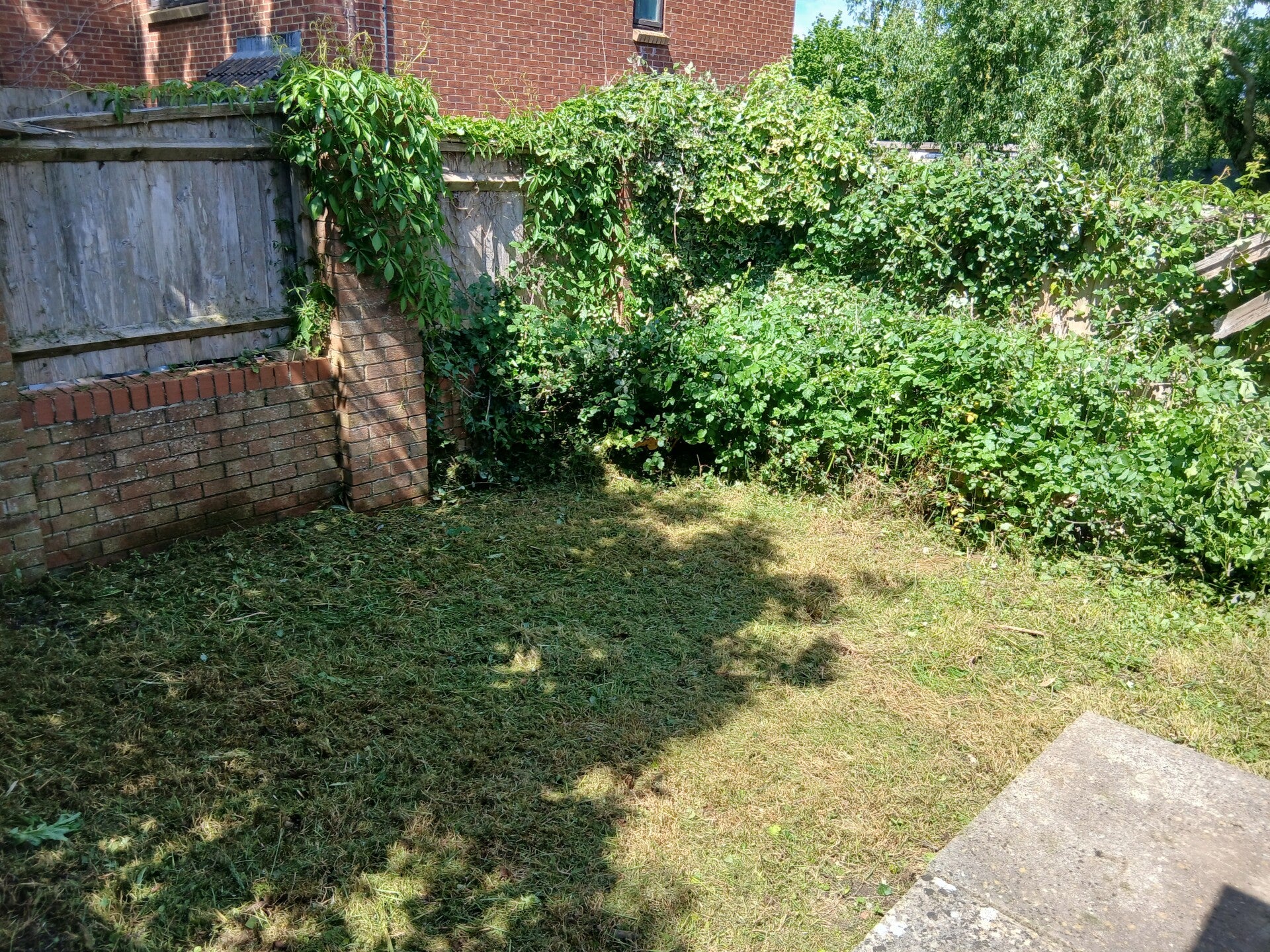 20260512_123332-standard.jpg