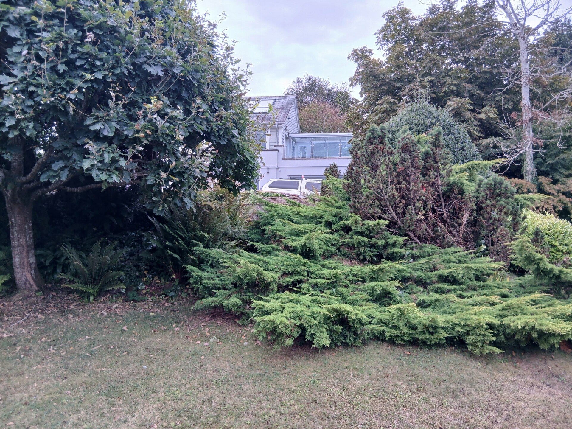 20260825_111537-standard.jpg