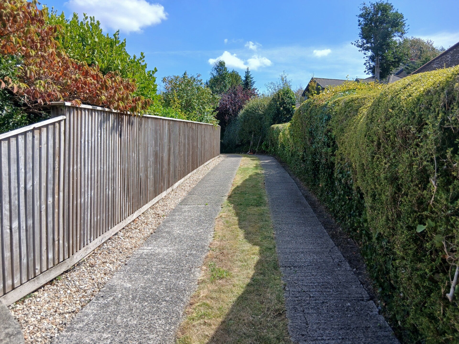 20260826_142409-standard.jpg