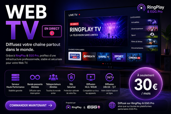 WEB TV