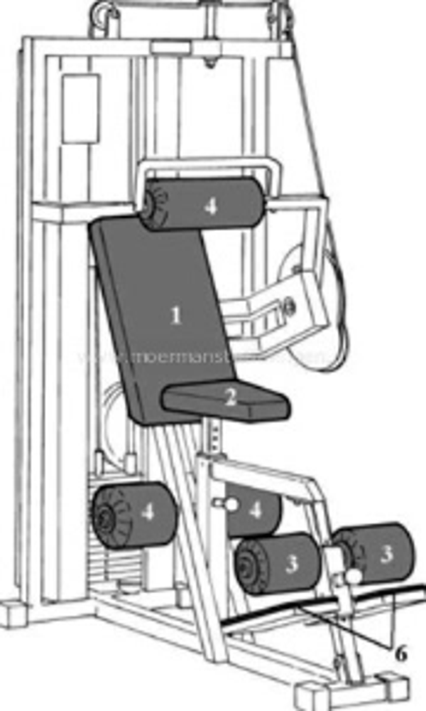Technogym Isotonic - Abdominal Machine M033