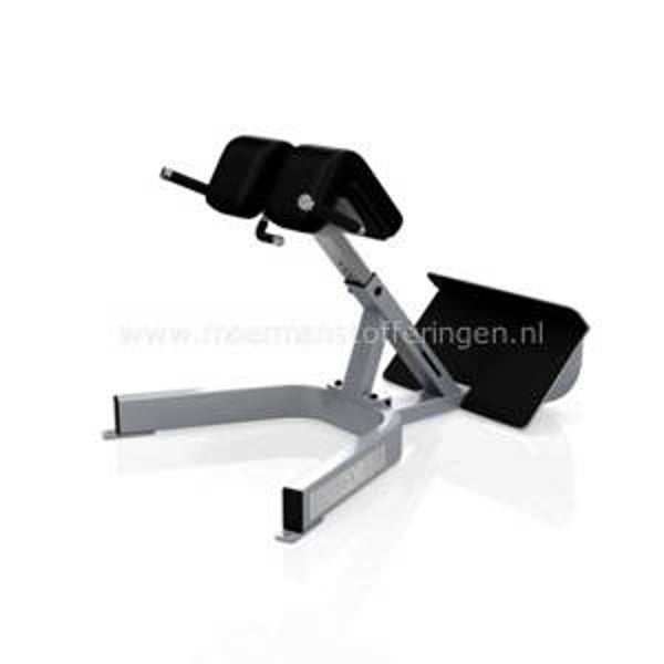 Precor Icarian - Back Extension 312