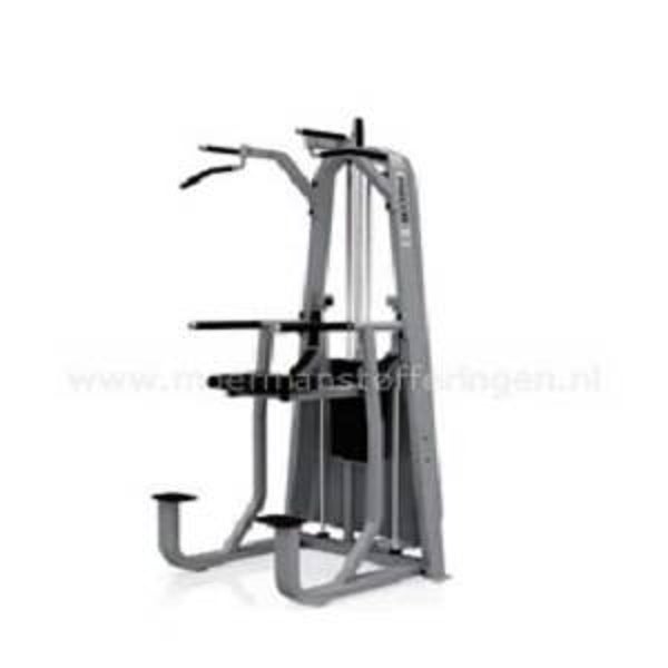 Precor Icarian - Dip Chin Assist 320