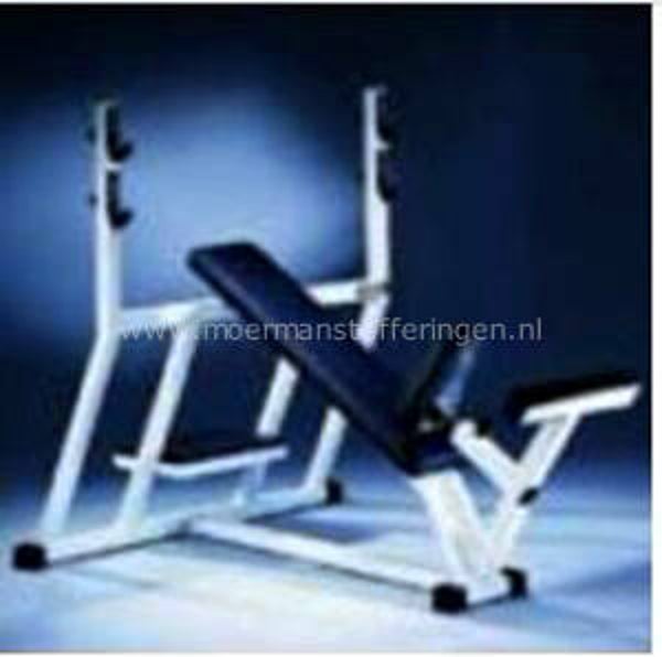 Technogym Isotonic - Incline Press Bench P019