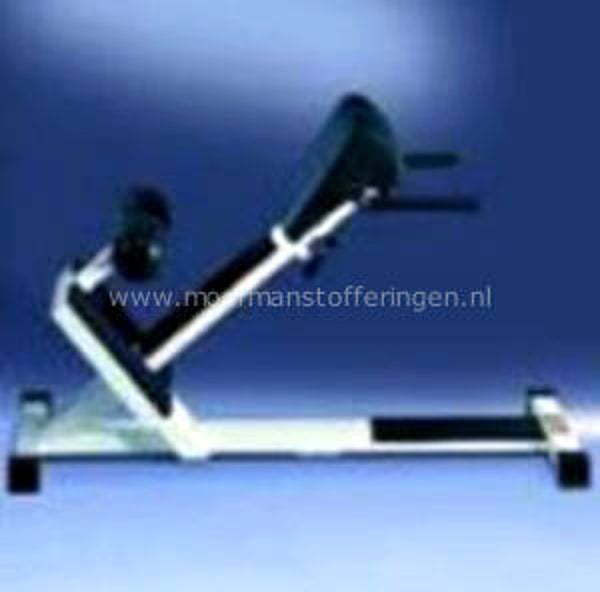 Technogym Isotonic - Lower Back Bench P025