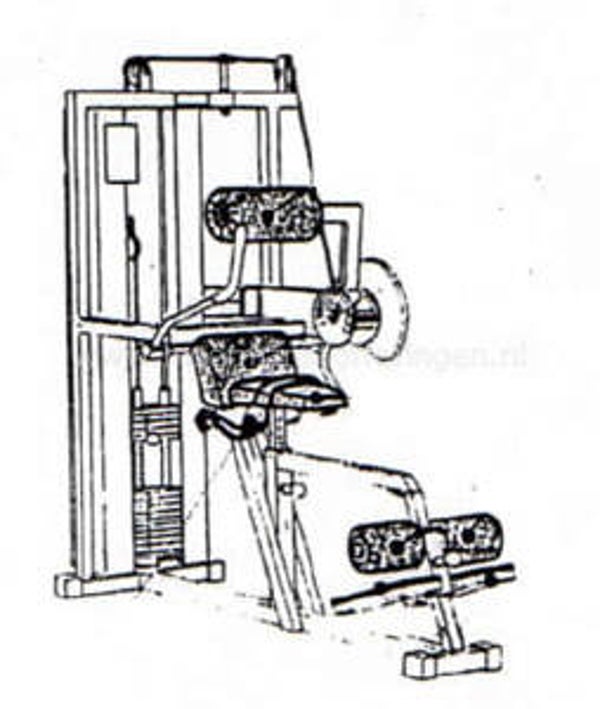 Technogym Isotonic - Lower Back M037