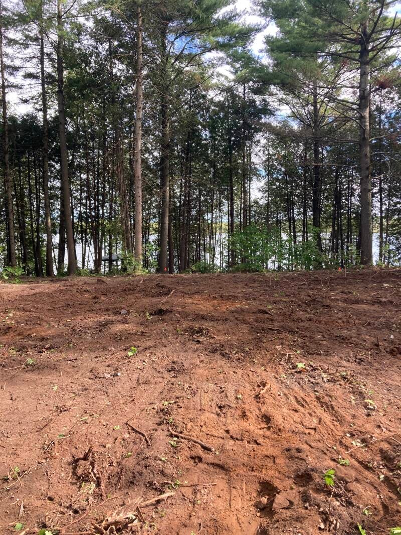 lot-clearing-2-standard.jpg