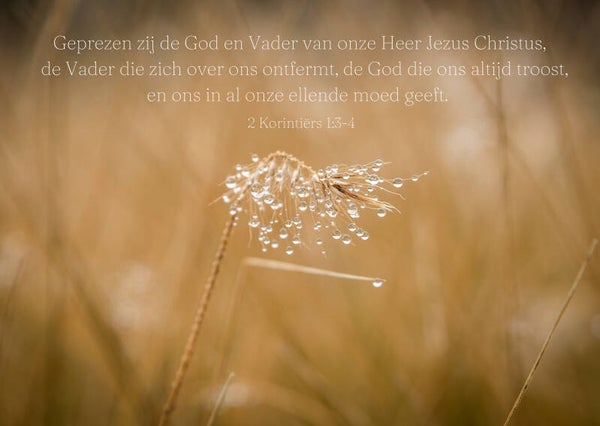 Geprezen zij God die ons altijd troost