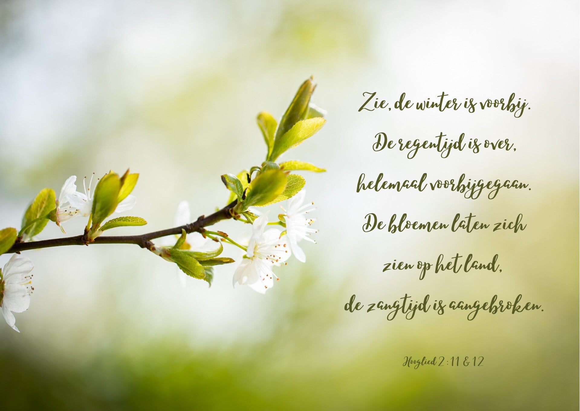 Zie, de winter is voorbij