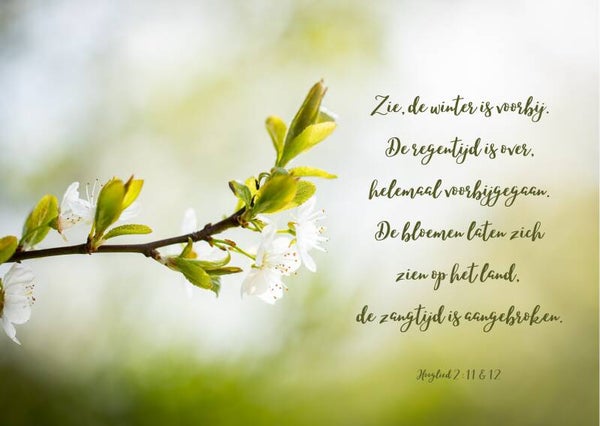 Zie, de winter is voorbij