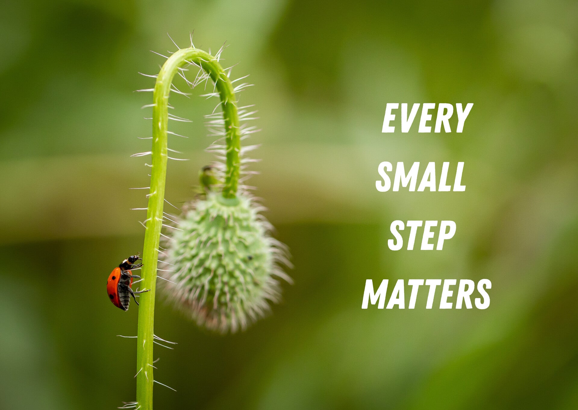 Every small step matters