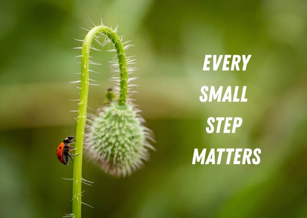 Every small step matters