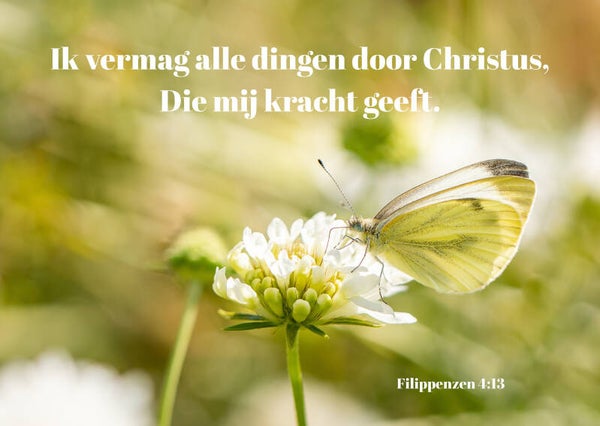 Ik vermag alle dingen