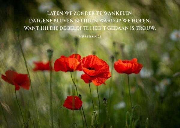 Laten we blijven belijden waarop we hopen