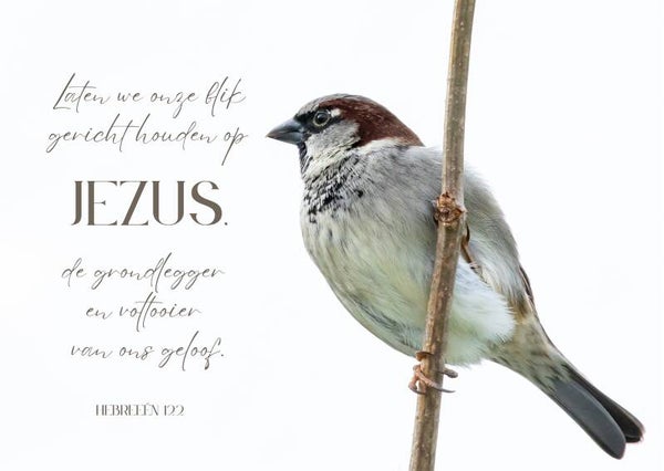 Laten we onze blik gericht houden op Jezus