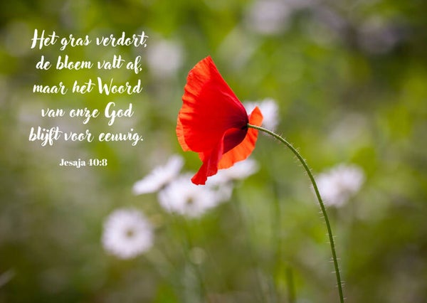 Het Woord van God blijft voor eeuwig